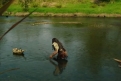 Immagine 4 - Warcraft- L'inizio, immagini del film