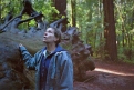 Immagine 14 - Nomadland, foto del film vincitore del premio Oscar, diretto da Chloé Zhao con Frances McDormand