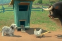 Immagine 8 - Ferdinand, foto e disegni tratti dal film d’animazione