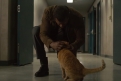 Immagine 17 - Captain Marvel, foto del film