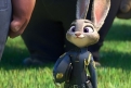 Immagine 2 - Zootropolis, foto e disegni