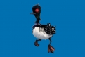 Immagine 6 - Alla ricerca di Dory, i simpatici personaggi del film