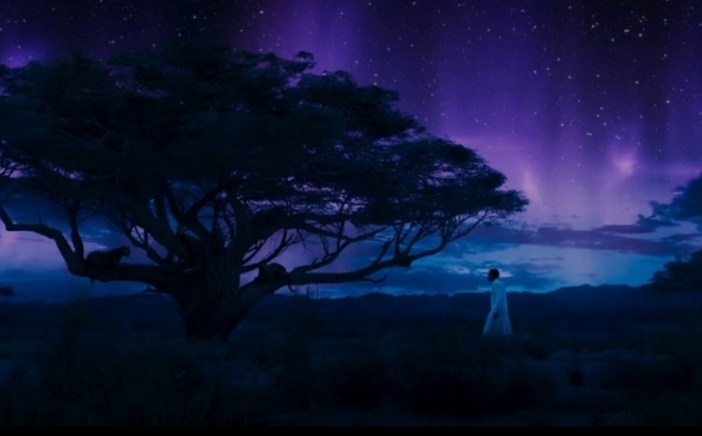 Immagine 6 - Black Panther, foto e immagini del film Marvel
