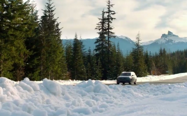 Immagine 12 - Un Viaggio a Quattro Zampe, foto del film con Bella protagonista