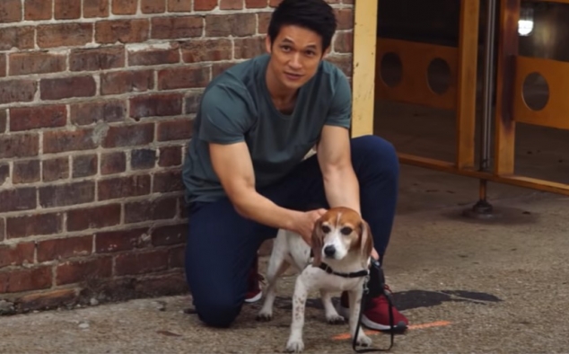 Immagine 14 - All My Life, Foto e immagini del film di Marc Meyers con Jessica Rothe, Harry Shum Jr