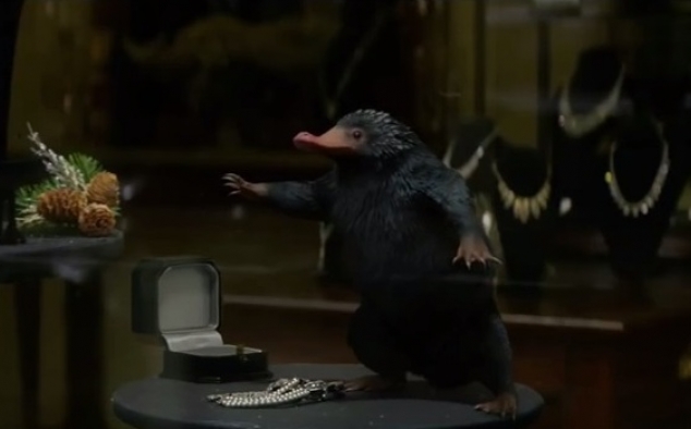 Immagine 21 - Animali Fantastici e dove trovarli, foto e immagini del film