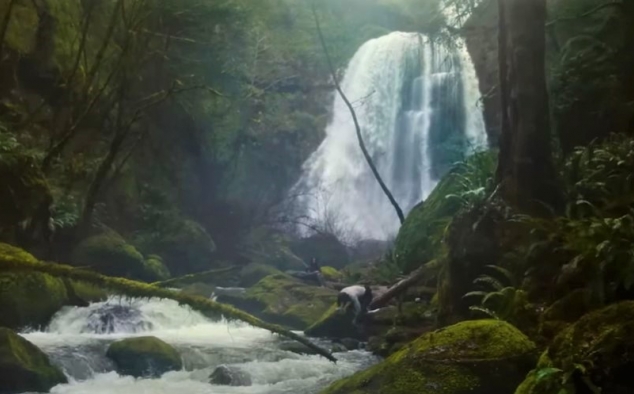 Immagine 4 - 65 - Fuga dalla Terra, immagini del film di Scott Beck, Bryan Woods con Adam Driver, Ariana Greenblatt