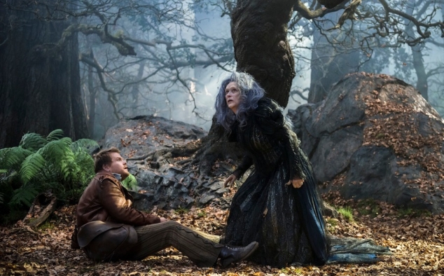 Immagine 22 - Into the Woods
