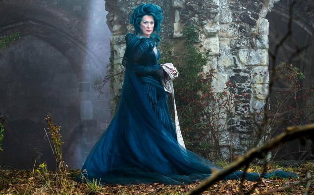 Immagine 4 - Into the Woods