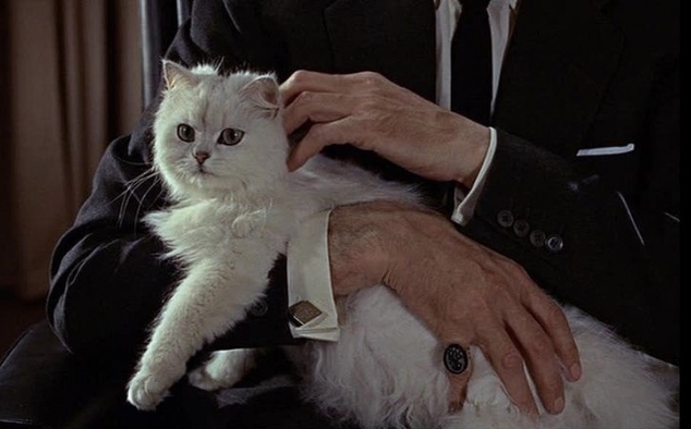 Immagine 75 - 007 - Spectre, foto