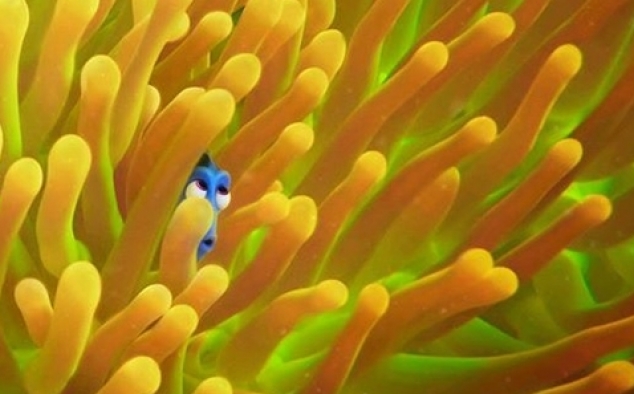 Immagine 42 - Alla ricerca di Dory, divertenti  immagini del film