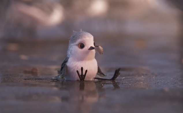 Immagine 47 - Alla ricerca di Dory, divertenti  immagini del film