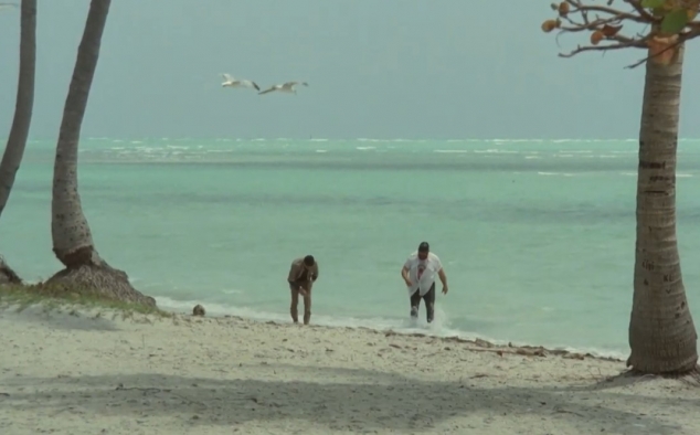Immagine 24 - Chi trova un amico trova un tesoro, Charlie e Alan partono sfidando l’oceano con un carico di Puffin … foto del film con Bud Spe