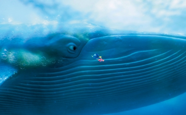 Immagine 18 - Alla ricerca di Dory, i simpatici personaggi del film
