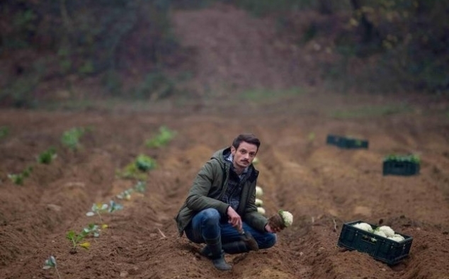 Immagine 6 - Il vegetale, foto e immagini del film di Gennaro Nunziante