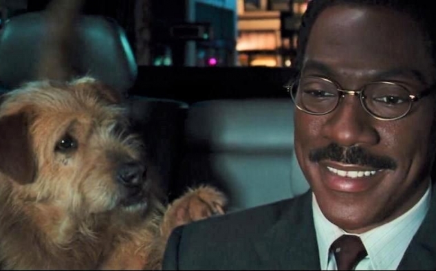 Immagine 23 - Eddie Murphy, immagini e foto tratte dai migliori film con l’attore comico protagonista