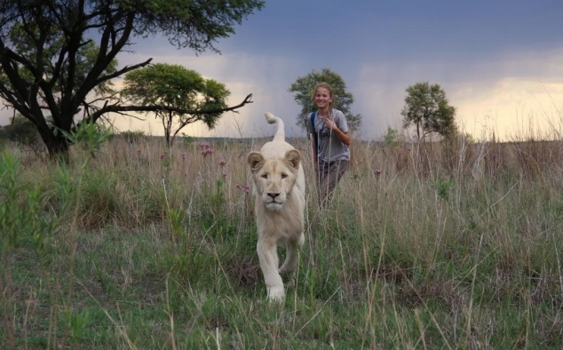 Immagine 8 - Mia e il Leone bianco, foto del film