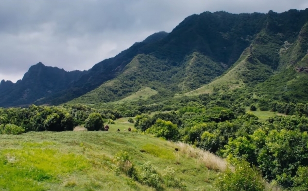 Immagine 37 - Jumanji- Benvenuti nella Giungla, foto e immagini del film fantasy avventura
