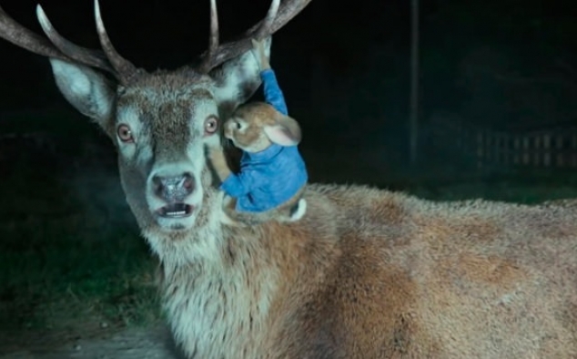 Immagine 20 - Peter Rabbit, immagini e disegni animati del film