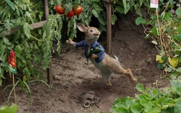 Immagine 17 - Peter Rabbit, immagini e disegni animati del film