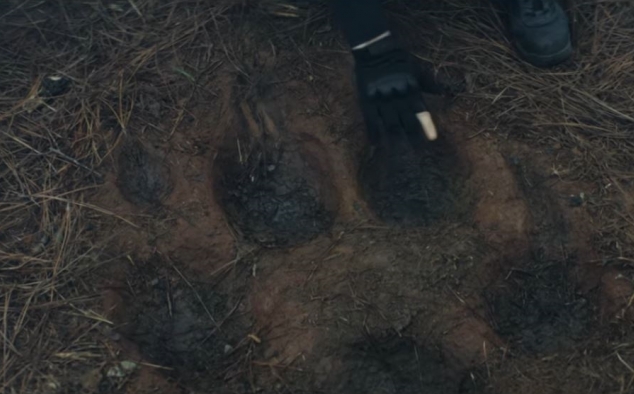 Immagine 10 - Rampage - Furia animale, foto e immagini tratte dal film con Dwayne Johnson