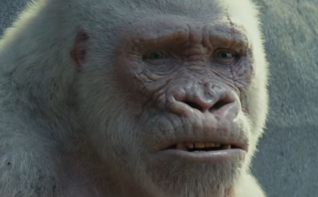 Immagine 8 - Rampage - Furia animale, foto e immagini tratte dal film con Dwayne Johnson