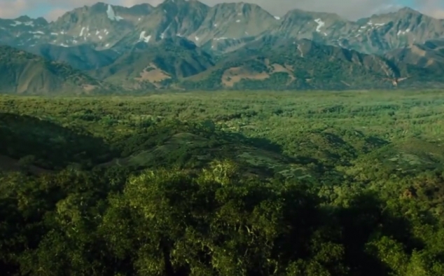 Immagine 14 - Warcraft- L'inizio, immagini del film