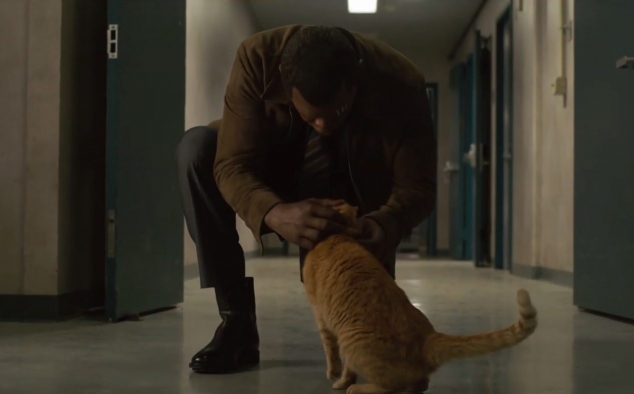 Immagine 17 - Captain Marvel, foto del film