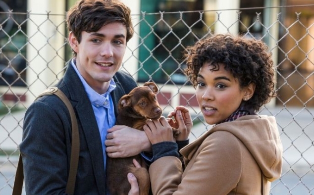 Immagine 2 - Un Viaggio a Quattro Zampe, foto del film con Bella protagonista