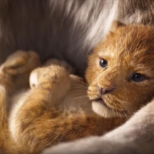 Primo trailer del nuovo film Disney in uscita la prossima estate, Il re leone