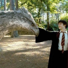 Ecco le prime foto del prequel di Harry Potter