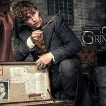 Animali Fantastici 2: I Crimini di Grindelwald, ottimi incassi al debutto al cinema