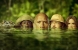Jumanji: Benvenuti nella Giungla, incassi sorprendenti